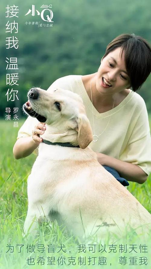怎么购买内华达州公用事业账单